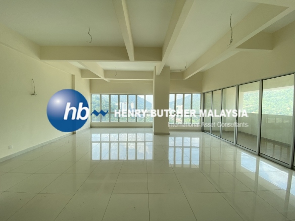 Hillview Penthouse Pine Residence
